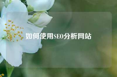 如何使用SEO分析网站