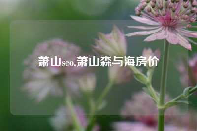 萧山seo,萧山森与海房价