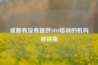 成都有没有提供SEO培训的机构或讲座