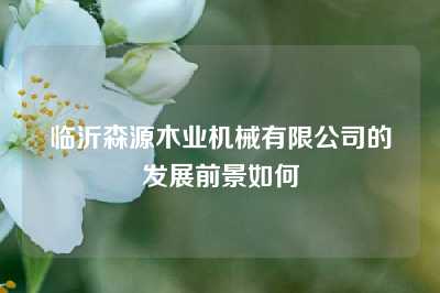 临沂森源木业机械有限公司的发展前景如何