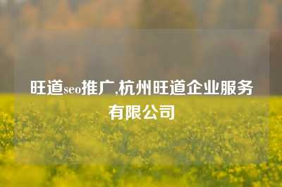 旺道seo推广,杭州旺道企业服务有限公司