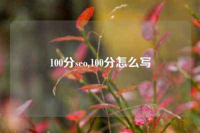 100分seo,100分怎么写