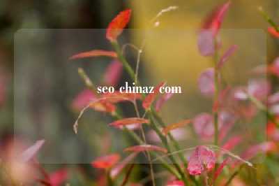 seo chinaz com