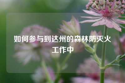 如何参与到达州的森林防灭火工作中