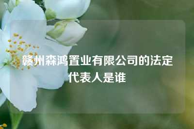 赣州森鸿置业有限公司的法定代表人是谁