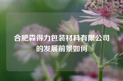 合肥森得力包装材料有限公司的发展前景如何