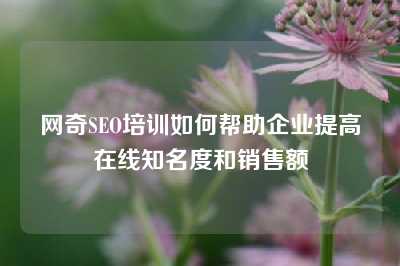 网奇SEO培训如何帮助企业提高在线知名度和销售额