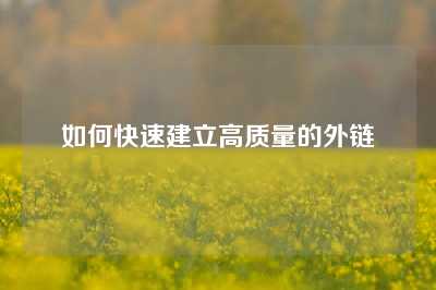 如何快速建立高质量的外链