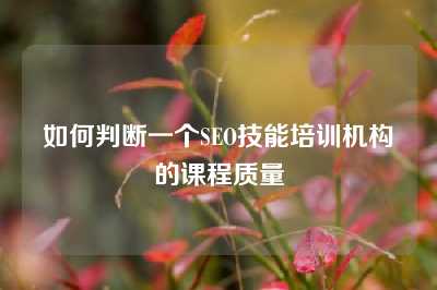 如何判断一个SEO技能培训机构的课程质量