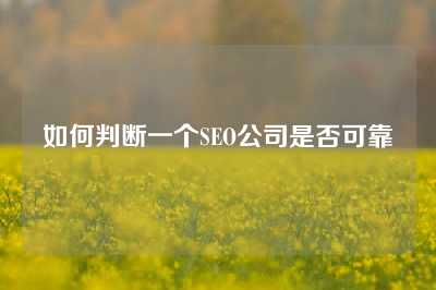 如何判断一个SEO公司是否可靠