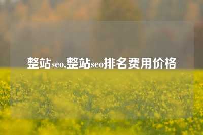 整站seo,整站seo排名费用价格