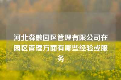 河北森融园区管理有限公司在园区管理方面有哪些经验或服务