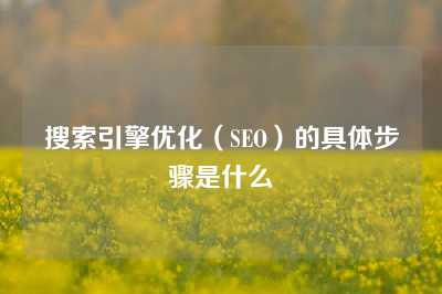 搜索引擎优化（SEO）的具体步骤是什么