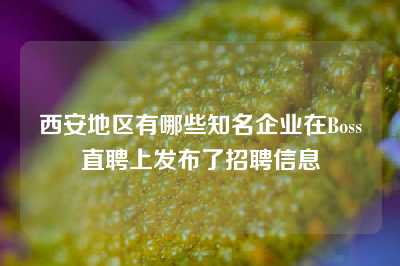 西安地区有哪些知名企业在Boss直聘上发布了招聘信息