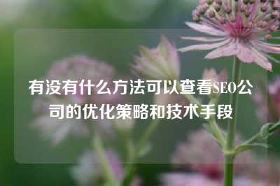 有没有什么方法可以查看SEO公司的优化策略和技术手段