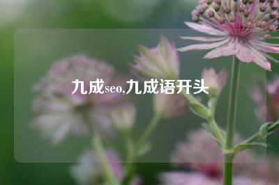 九成seo,九成语开头