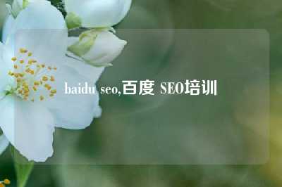 baidu seo,百度 SEO培训