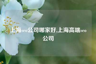 上海seo公司哪家好,上海高端seo公司