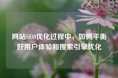 网站SEO优化过程中，如何平衡好用户体验和搜索引擎优化