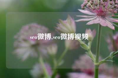 seo微博,seo微博视频