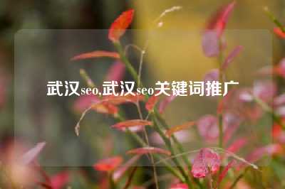 武汉seo,武汉seo关键词推广