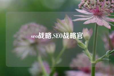 seo战略,SEO战略官