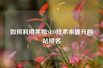 如何利用黑帽SEO技术来提升网站排名