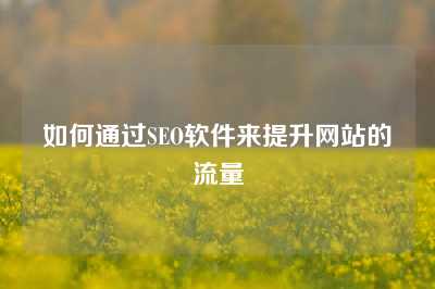 如何通过SEO软件来提升网站的流量