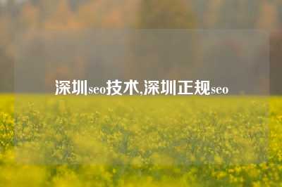 深圳seo技术,深圳正规seo