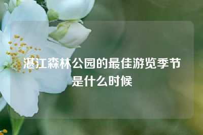 湛江森林公园的最佳游览季节是什么时候