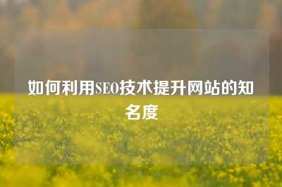 如何利用SEO技术提升网站的知名度