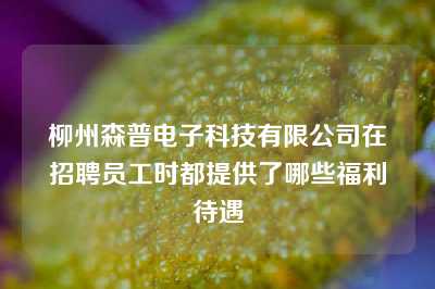 柳州森普电子科技有限公司在招聘员工时都提供了哪些福利待遇