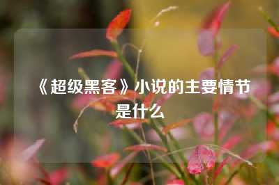 《超级黑客》小说的主要情节是什么