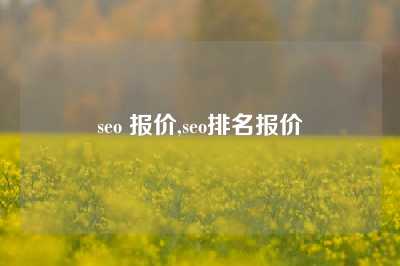 seo 报价,seo排名报价