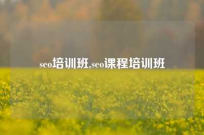 seo培训班,seo课程培训班