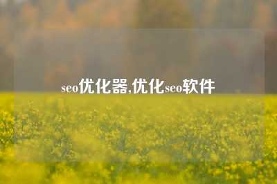 seo优化器,优化seo软件