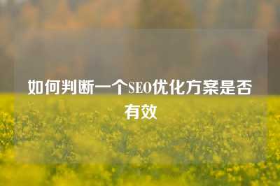 如何判断一个SEO优化方案是否有效