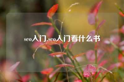 seo入门,seo入门看什么书