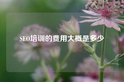 SEO培训的费用大概是多少