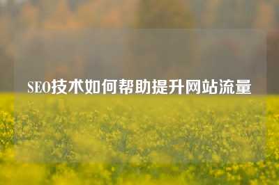 SEO技术如何帮助提升网站流量