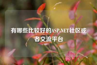 有哪些比较好的ASP.NET社区或者交流平台