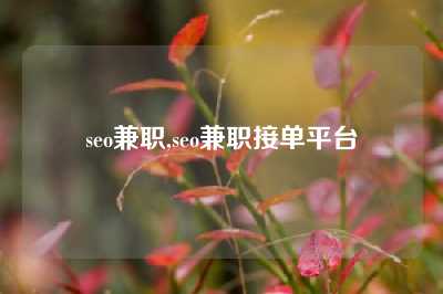 seo兼职,seo兼职接单平台