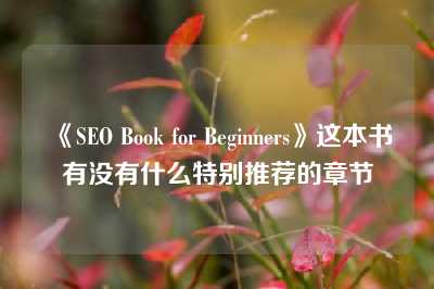 《SEO Book for Beginners》这本书有没有什么特别推荐的章节