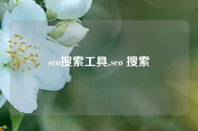 seo搜索工具,seo 搜索