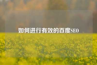 如何进行有效的百度SEO