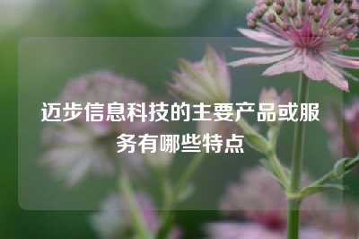 迈步信息科技的主要产品或服务有哪些特点