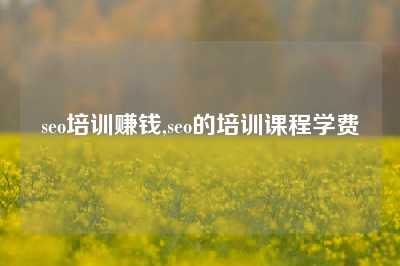 seo培训赚钱,seo的培训课程学费