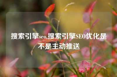 搜索引擎seo,搜索引擎SEO优化是不是主动推送