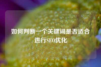 如何判断一个关键词是否适合进行SEO优化