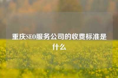 重庆SEO服务公司的收费标准是什么